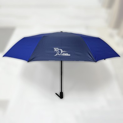 21 inch three fold sun umbrella-St. Paul's College Primary School